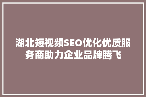 湖北短视频SEO优化优质服务商助力企业品牌腾飞