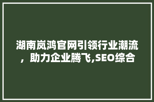 湖南岚鸿官网引领行业潮流，助力企业腾飞,SEO综合查询权威解读