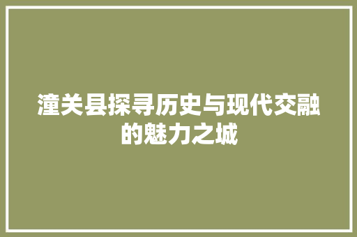 潼关县探寻历史与现代交融的魅力之城