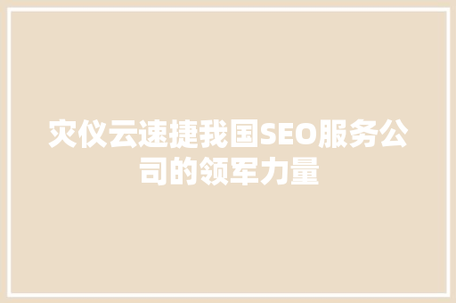 灾仪云速捷我国SEO服务公司的领军力量