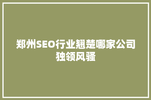 郑州SEO行业翘楚哪家公司独领风骚