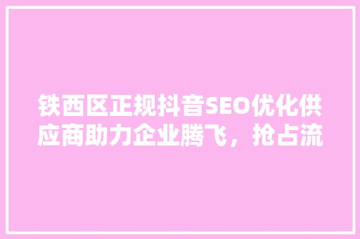 铁西区正规抖音SEO优化供应商助力企业腾飞，抢占流量高地