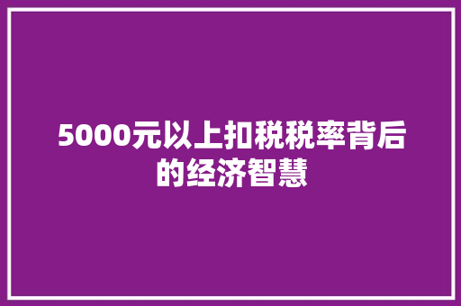 5000元以上扣税税率背后的经济智慧