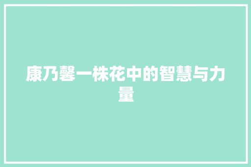 康乃馨一株花中的智慧与力量  第1张