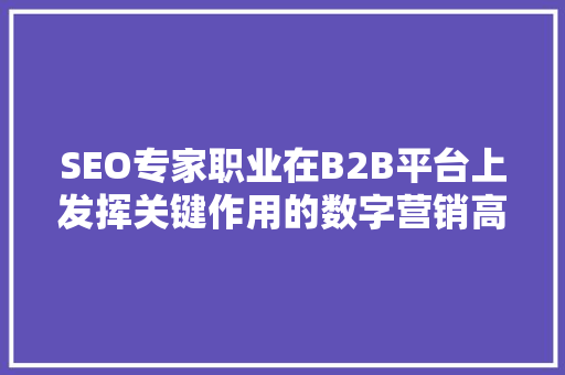 SEO专家职业在B2B平台上发挥关键作用的数字营销高手  第1张