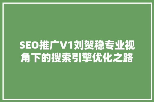 SEO推广V1刘贺稳专业视角下的搜索引擎优化之路