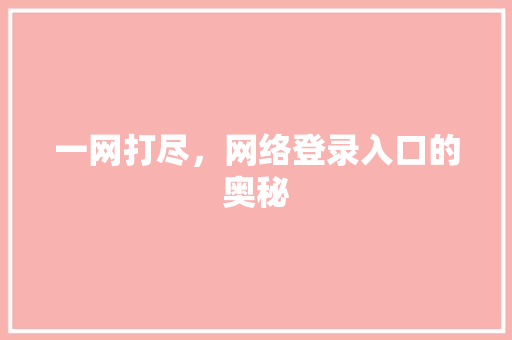一网打尽，网络登录入口的奥秘