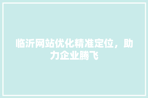 临沂网站优化精准定位，助力企业腾飞