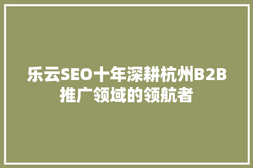 乐云SEO十年深耕杭州B2B推广领域的领航者