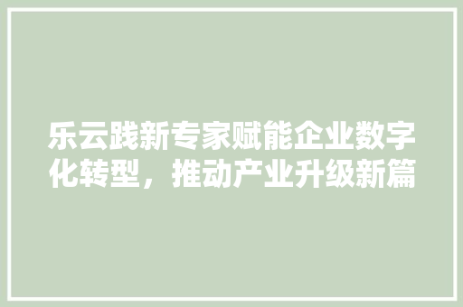 乐云践新专家赋能企业数字化转型，推动产业升级新篇章  第1张