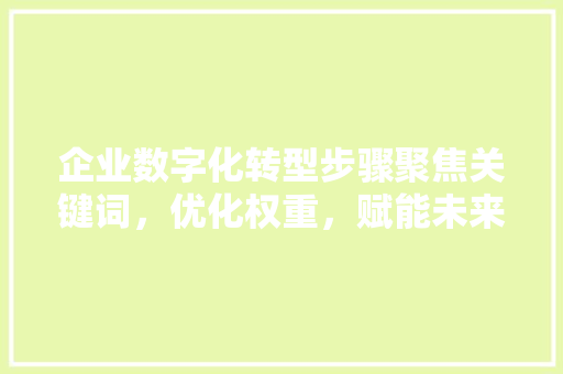 企业数字化转型步骤聚焦关键词，优化权重，赋能未来发展