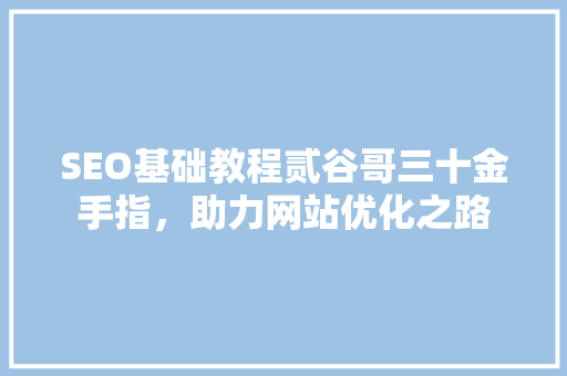 SEO基础教程贰谷哥三十金手指，助力网站优化之路
