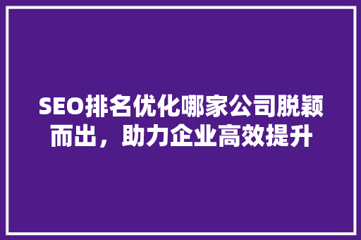 SEO排名优化哪家公司脱颖而出，助力企业高效提升