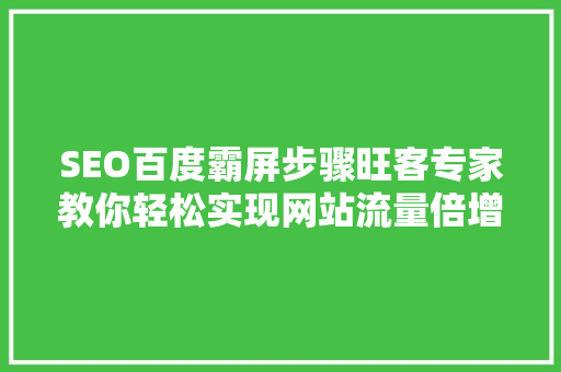 SEO百度霸屏步骤旺客专家教你轻松实现网站流量倍增