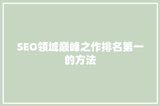 SEO领域巅峰之作排名第一的方法