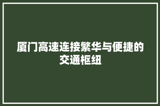 厦门高速连接繁华与便捷的交通枢纽