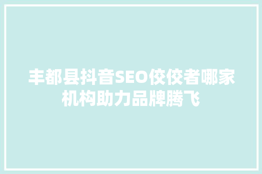 丰都县抖音SEO佼佼者哪家机构助力品牌腾飞