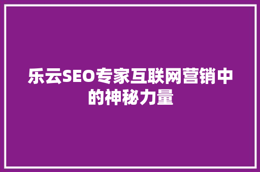 乐云SEO专家互联网营销中的神秘力量