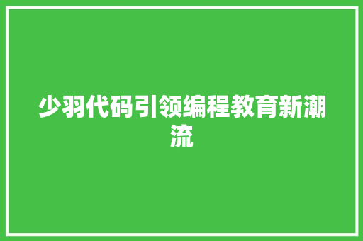 少羽代码引领编程教育新潮流