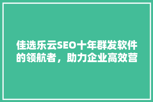 佳选乐云SEO十年群发软件的领航者，助力企业高效营销