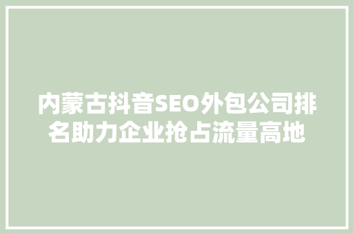 内蒙古抖音SEO外包公司排名助力企业抢占流量高地