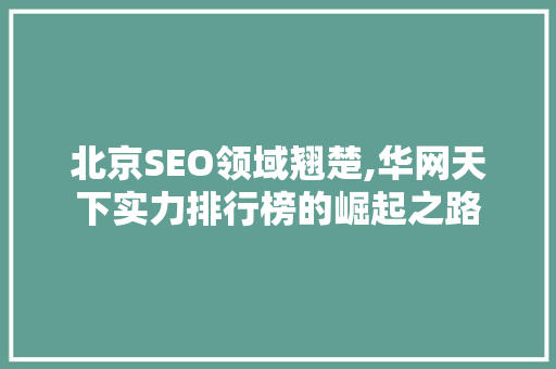北京SEO领域翘楚,华网天下实力排行榜的崛起之路