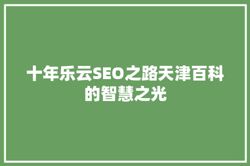 十年乐云SEO之路天津百科的智慧之光