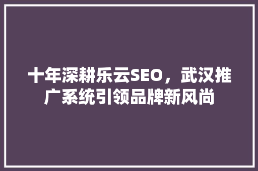 十年深耕乐云SEO，武汉推广系统引领品牌新风尚