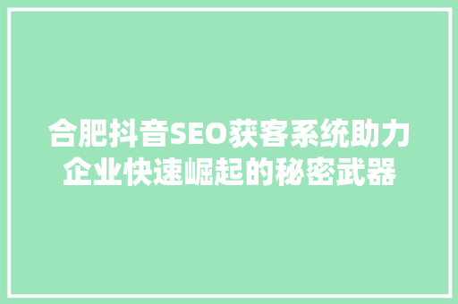 合肥抖音SEO获客系统助力企业快速崛起的秘密武器