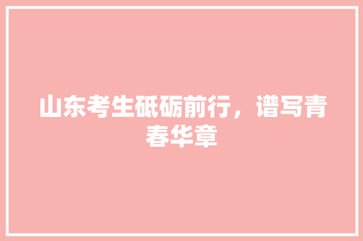 山东考生砥砺前行，谱写青春华章