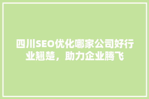 四川SEO优化哪家公司好行业翘楚，助力企业腾飞