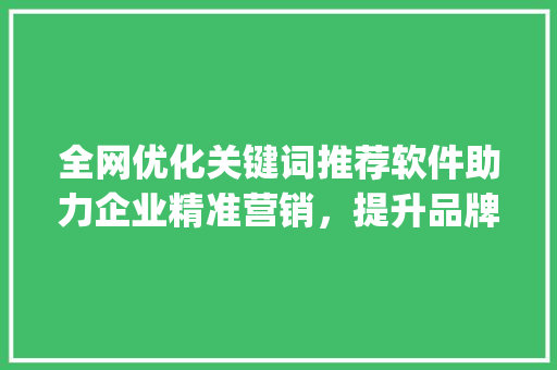 全网优化关键词推荐软件助力企业精准营销，提升品牌影响力_全网优化关键词推荐软件