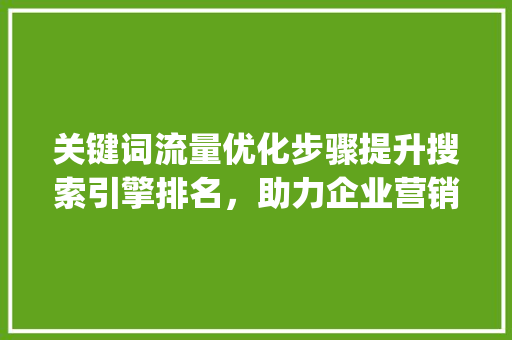 关键词流量优化步骤提升搜索引擎排名，助力企业营销_如何优化关键词流量  第1张