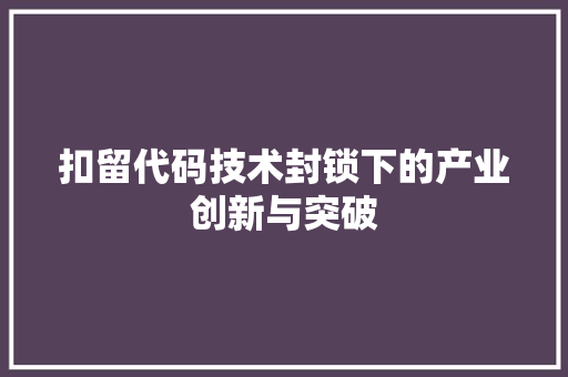 扣留代码技术封锁下的产业创新与突破  第1张