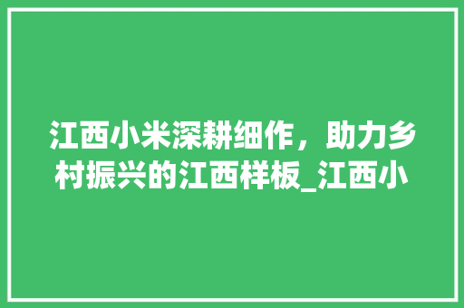 江西小米深耕细作，助力乡村振兴的江西样板_江西小米关键词优化  第1张