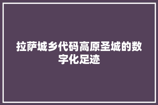 拉萨城乡代码高原圣城的数字化足迹  第1张