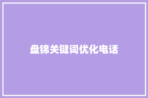 盘锦关键词优化电话  第1张
