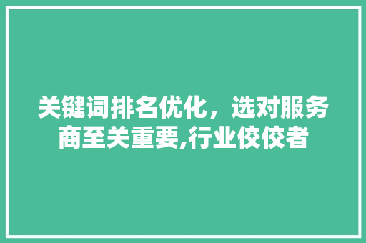 关键词排名优化，选对服务商至关重要,行业佼佼者