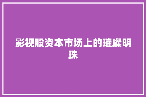 影视股资本市场上的璀璨明珠