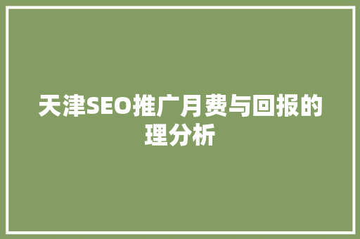天津SEO推广月费与回报的理分析