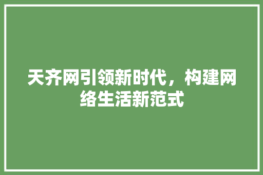 天齐网引领新时代，构建网络生活新范式