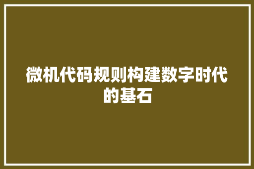微机代码规则构建数字时代的基石