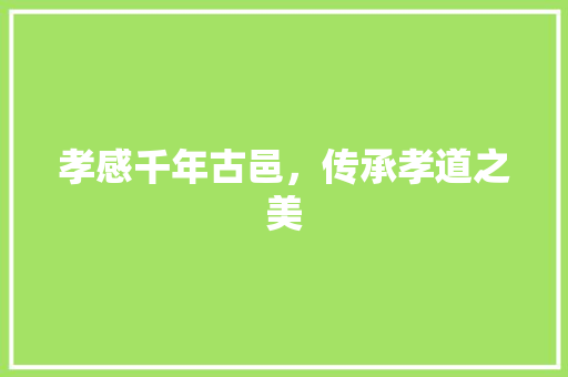 孝感千年古邑，传承孝道之美
