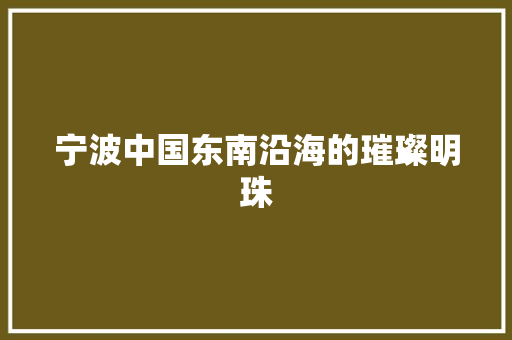 宁波中国东南沿海的璀璨明珠  第1张
