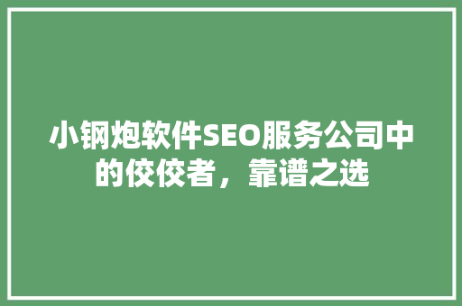小钢炮软件SEO服务公司中的佼佼者，靠谱之选  第1张