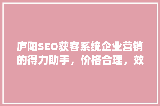 庐阳SEO获客系统企业营销的得力助手，价格合理，效果显著
