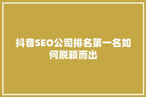 抖音SEO公司排名第一名如何脱颖而出
