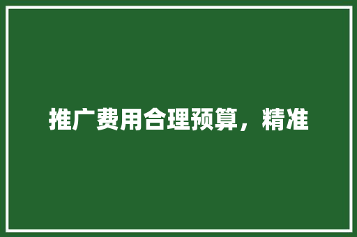 推广费用合理预算，精准