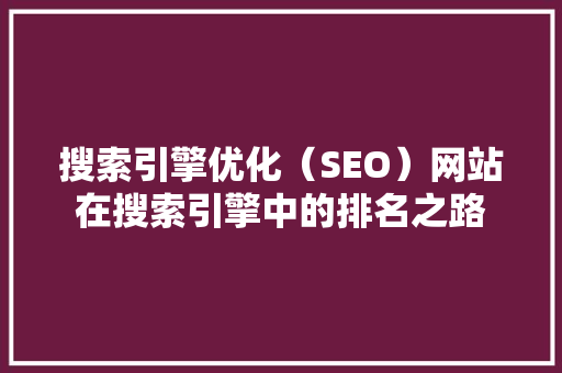 搜索引擎优化（SEO）网站在搜索引擎中的排名之路