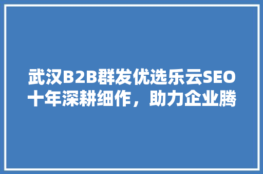 武汉B2B群发优选乐云SEO十年深耕细作，助力企业腾飞